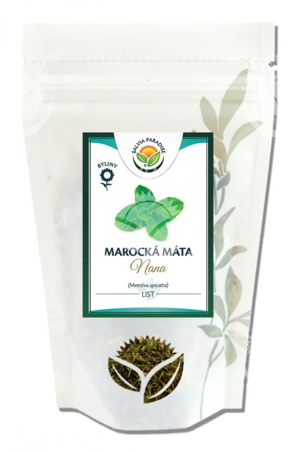 Mäta Marocká NANA 50 g SALVIA PARADISE