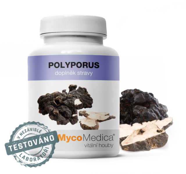 MycoMedica Polyporus 90 kapsúl MYCOMEDICA
