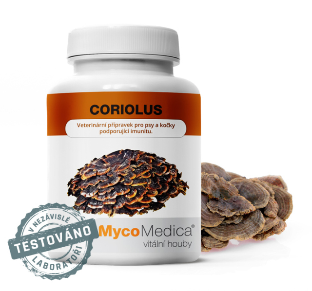 Coriolus 90 kapsúl Mycomedica MYCOMEDICA