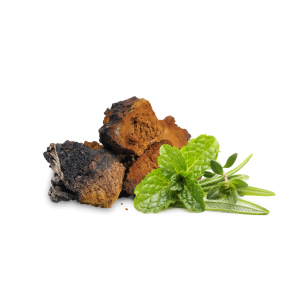 Reishi sušená 100 g MYCOMEDICA