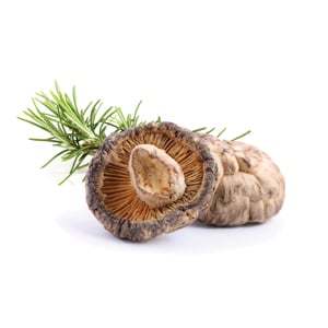 [MYC20] Shiitake sušené 100 g MYCOMEDICA